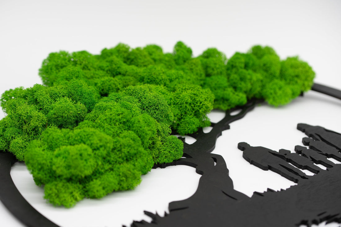 Jak dbać o dekoracje z mchu chrobotka? 5 prostych zasad.