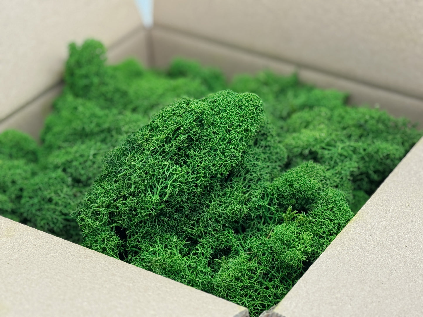 Mech chrobotek stabilizowany 350g – barwiony, do dekoracji, DIY, wyklejania baz