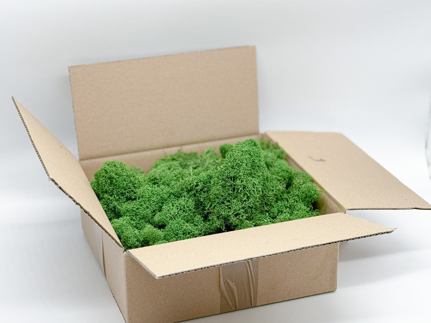 Mech chrobotek stabilizowany 350g – barwiony, do dekoracji, DIY, wyklejania baz